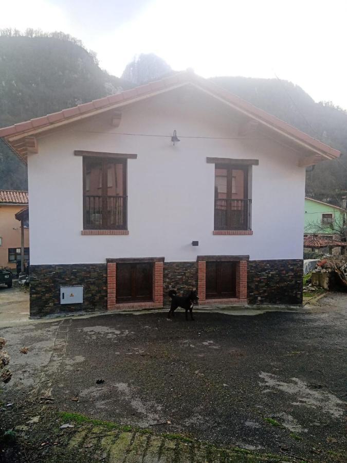 Casa Rural Gueilones, Parque Natural De Ponga Sobrefoz Bagian luar foto